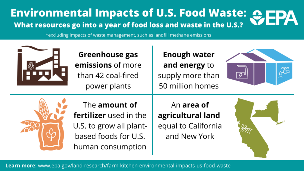 environmental impacts of a year of wasted food 0