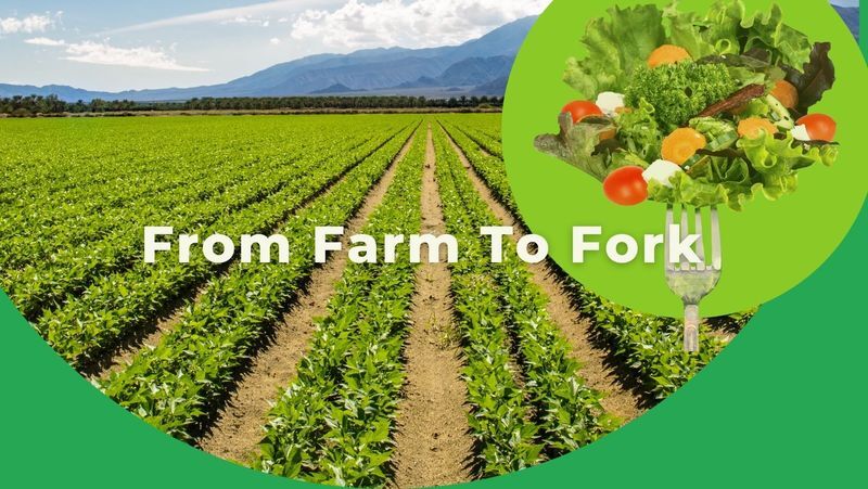 Farm to Fork